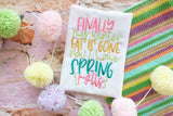 Finally my winter fat is gone, now I have spring rolls | Spring | Kitchen Towel